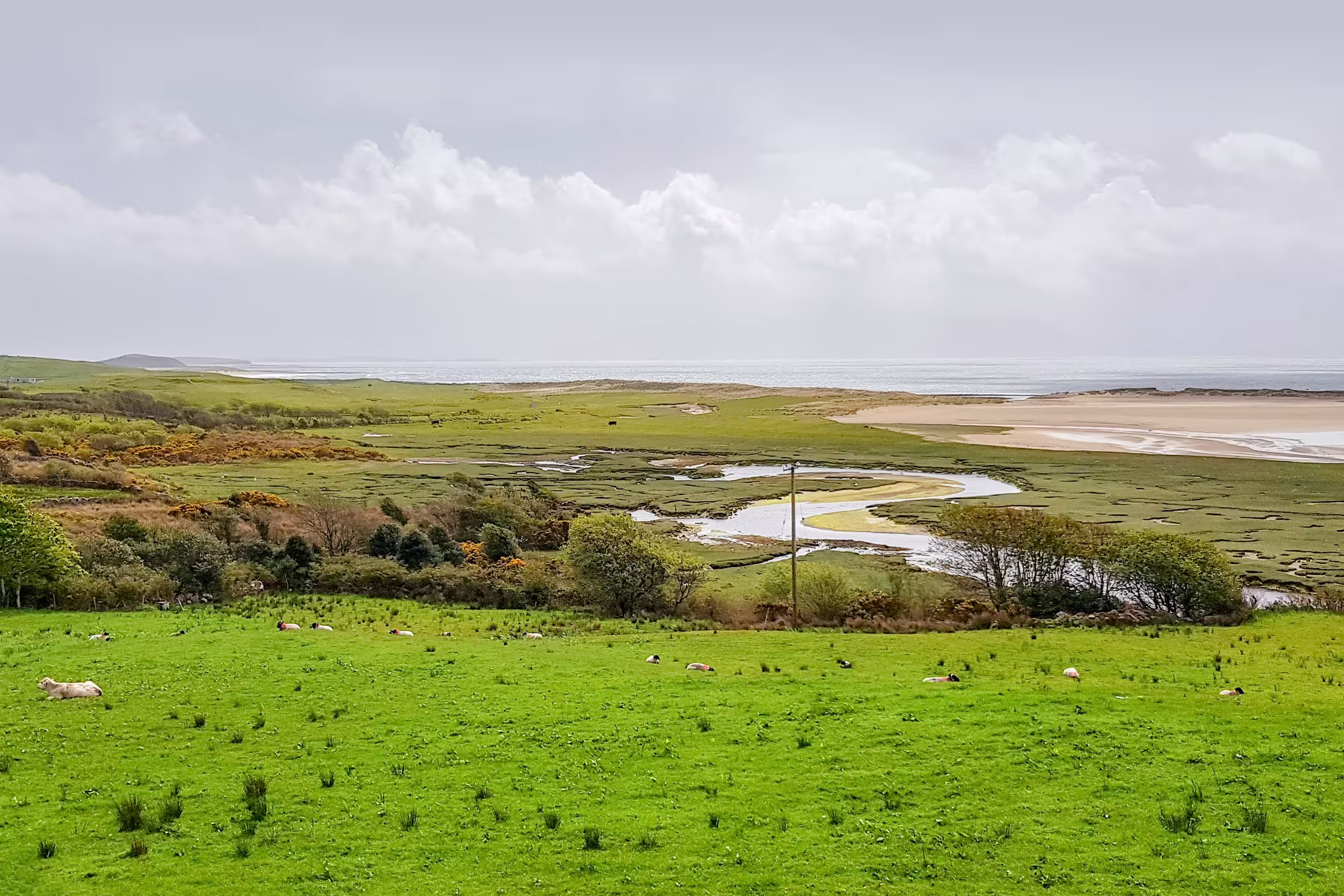 Connemara, a region in western Ireland