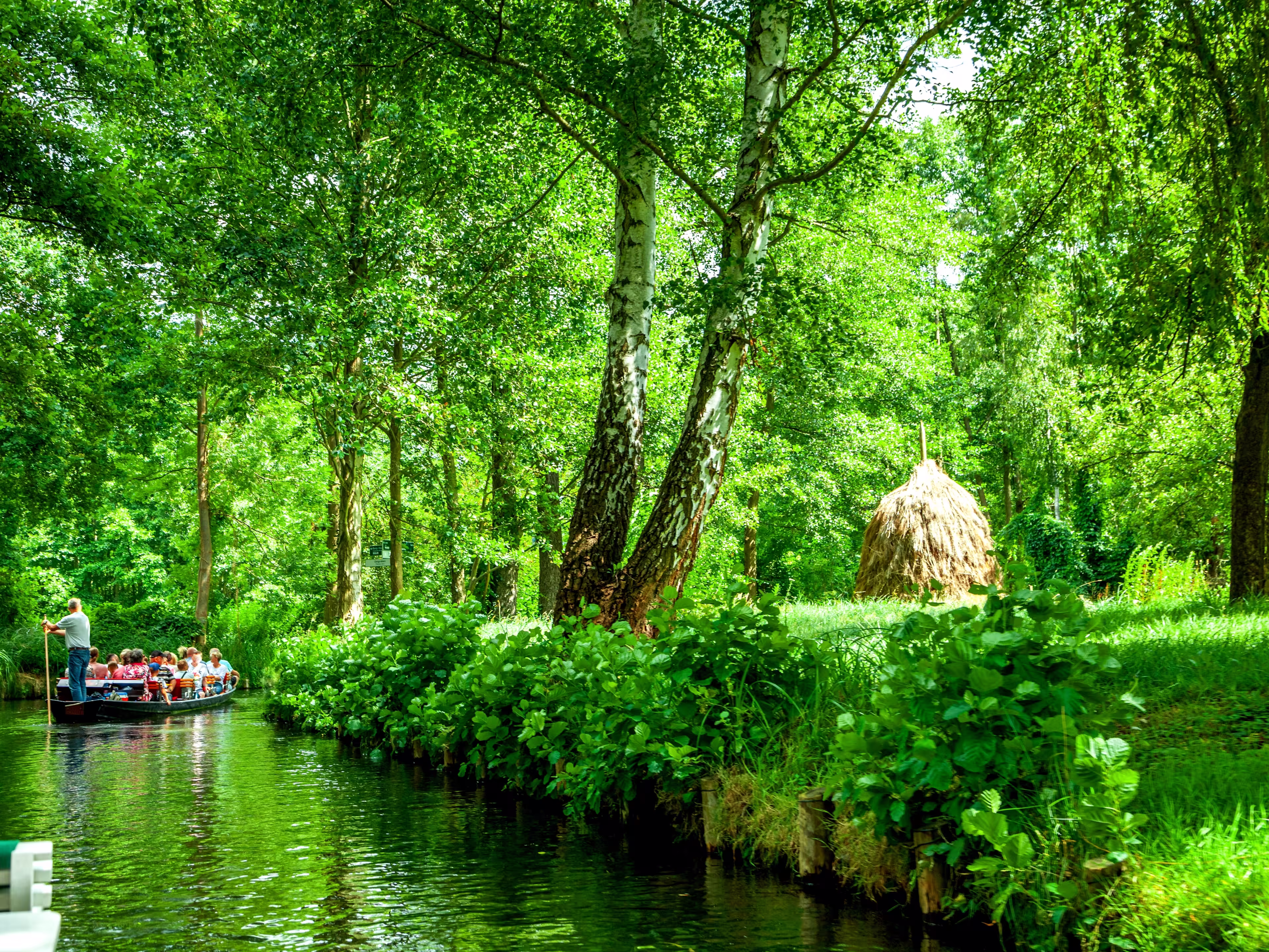 Spreewald at Luebbenau, Brandenburg, Sachsen Anhalt, Germany