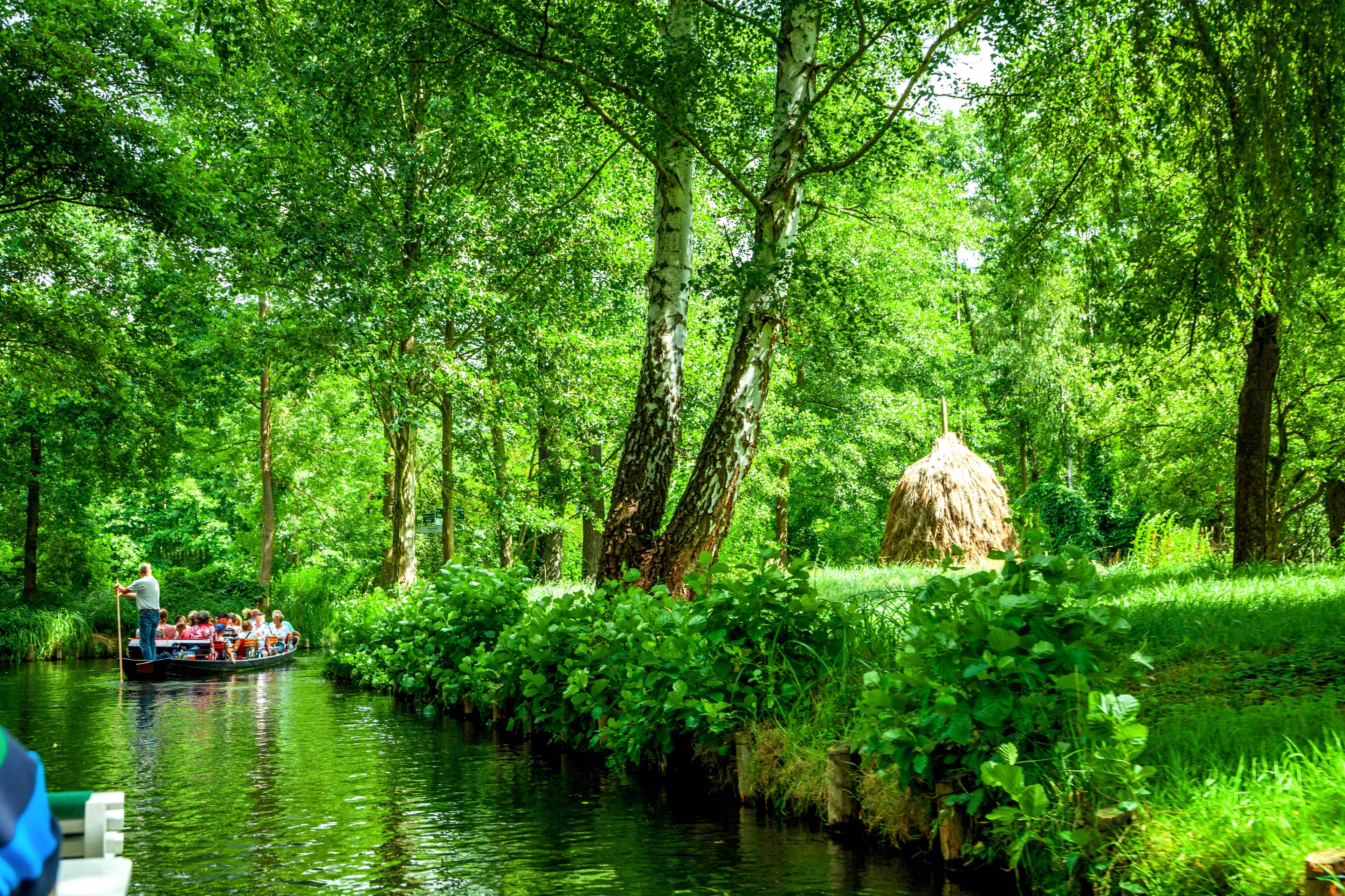 Spreewald at Luebbenau, Brandenburg, Sachsen Anhalt, Germany
