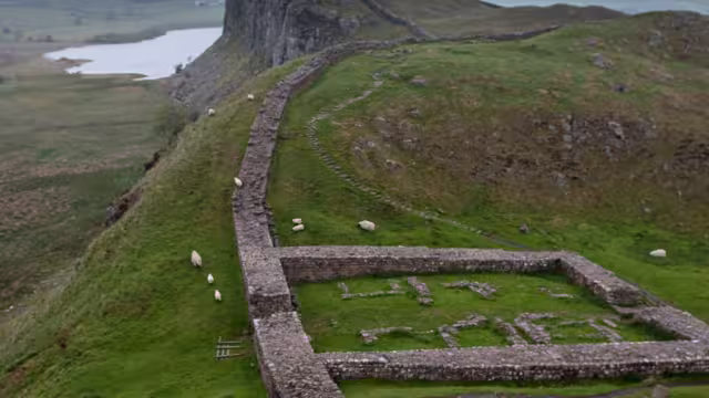 Sheep graze amongst the ruins of Milecastle 39, a Roman fortress on Hadrian's Wall, the fronteir of the Roman Empire on hills in Northumberland, England.