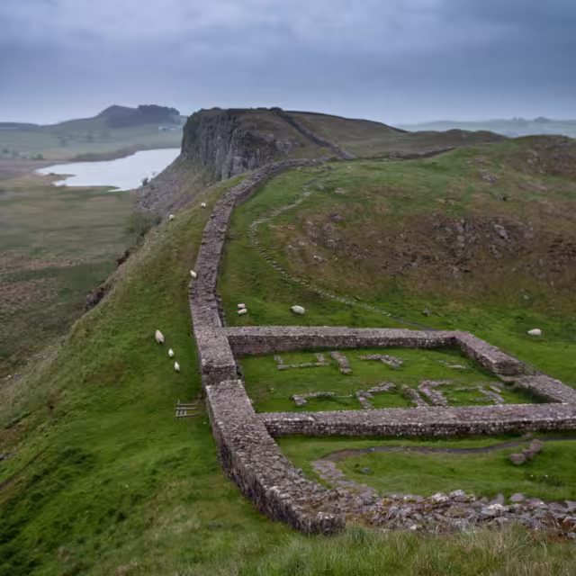 Sheep graze amongst the ruins of Milecastle 39, a Roman fortress on Hadrian's Wall, the fronteir of the Roman Empire on hills in Northumberland, England.