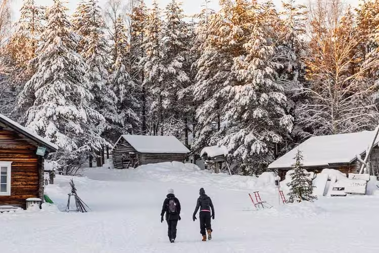 Finnish Lapland in Winter - 1