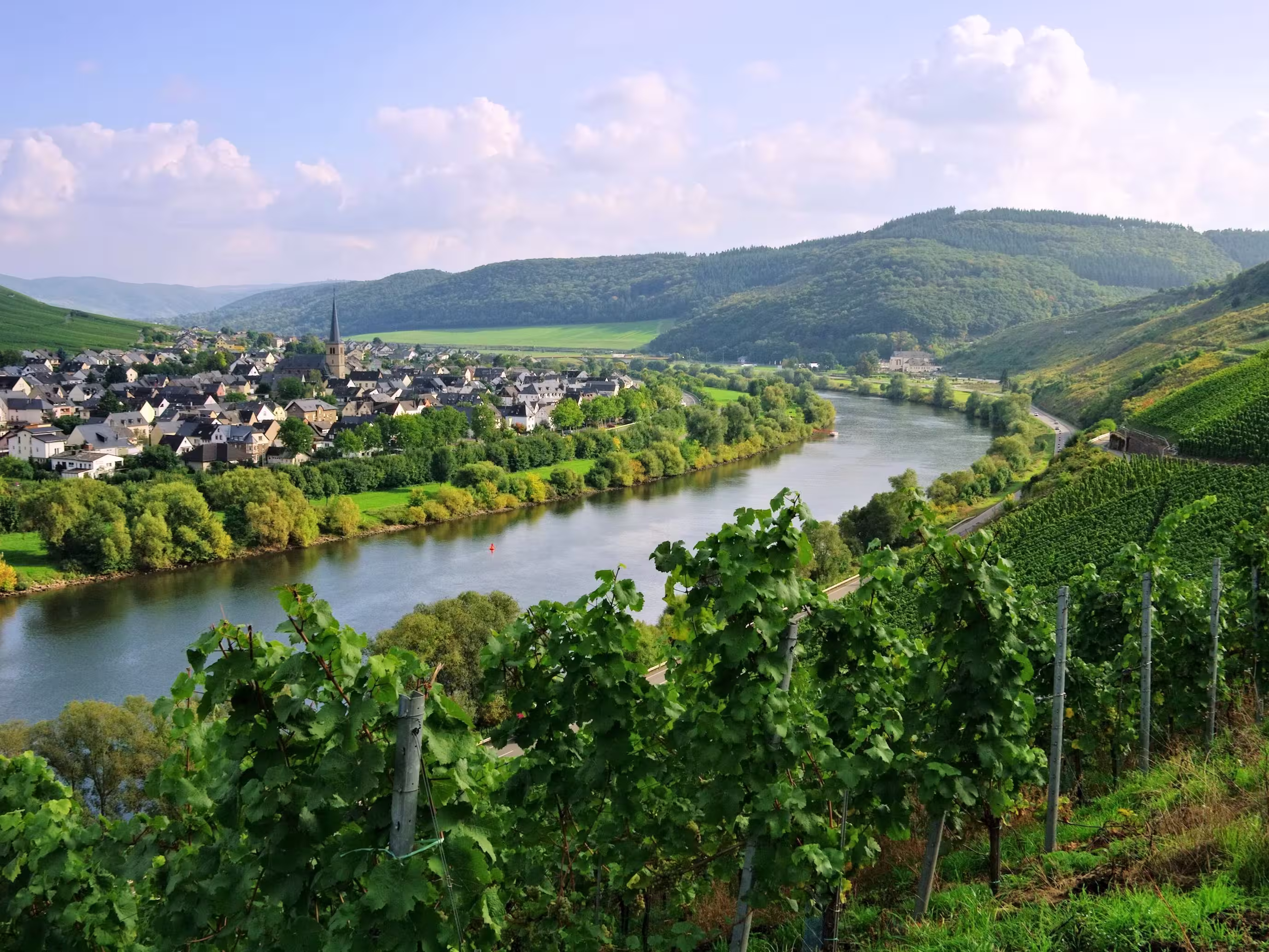 Zeltingen-Rachtig an der Mosel