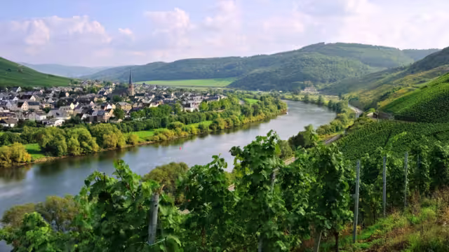 Zeltingen-Rachtig an der Mosel