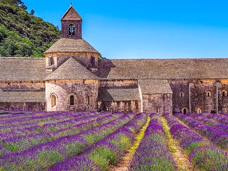 Lavendelfeld vor der Abbaye de Sénanque