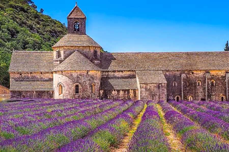Lavendelfeld vor der Abbaye de Sénanque