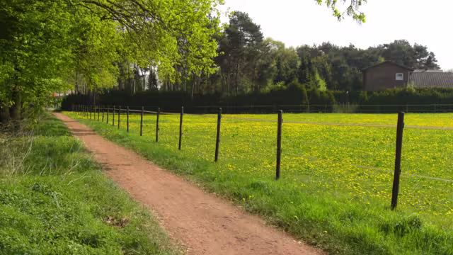 Münsterland