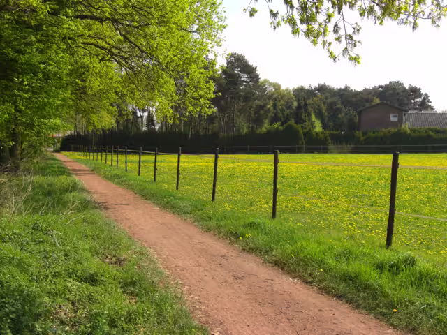 Münsterland