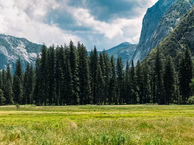 A hiker walking through Yosemite Valley, California, USA
