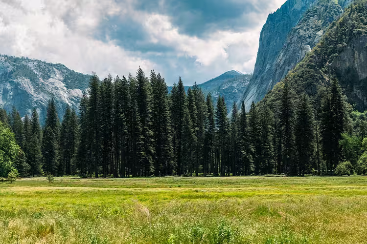 Best of California's National Parks - 1