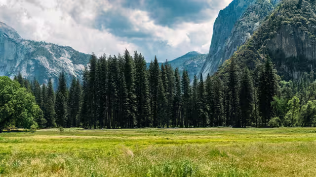 A hiker walking through Yosemite Valley, California, USA