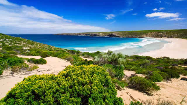 West Bay auf der Insel Kangaroo