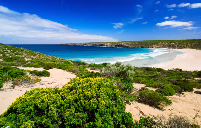 West Bay auf der Insel Kangaroo