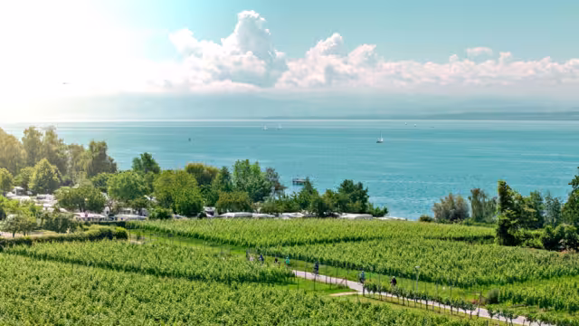 Radfahrer in einer Obstplantage am Bodensee