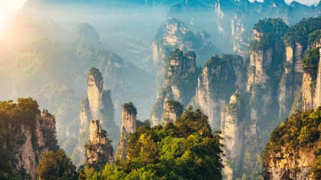 Towering pillars of sandstone topped with trees and dot the landscape of Zhangjiajie National Forest Park, Hunan