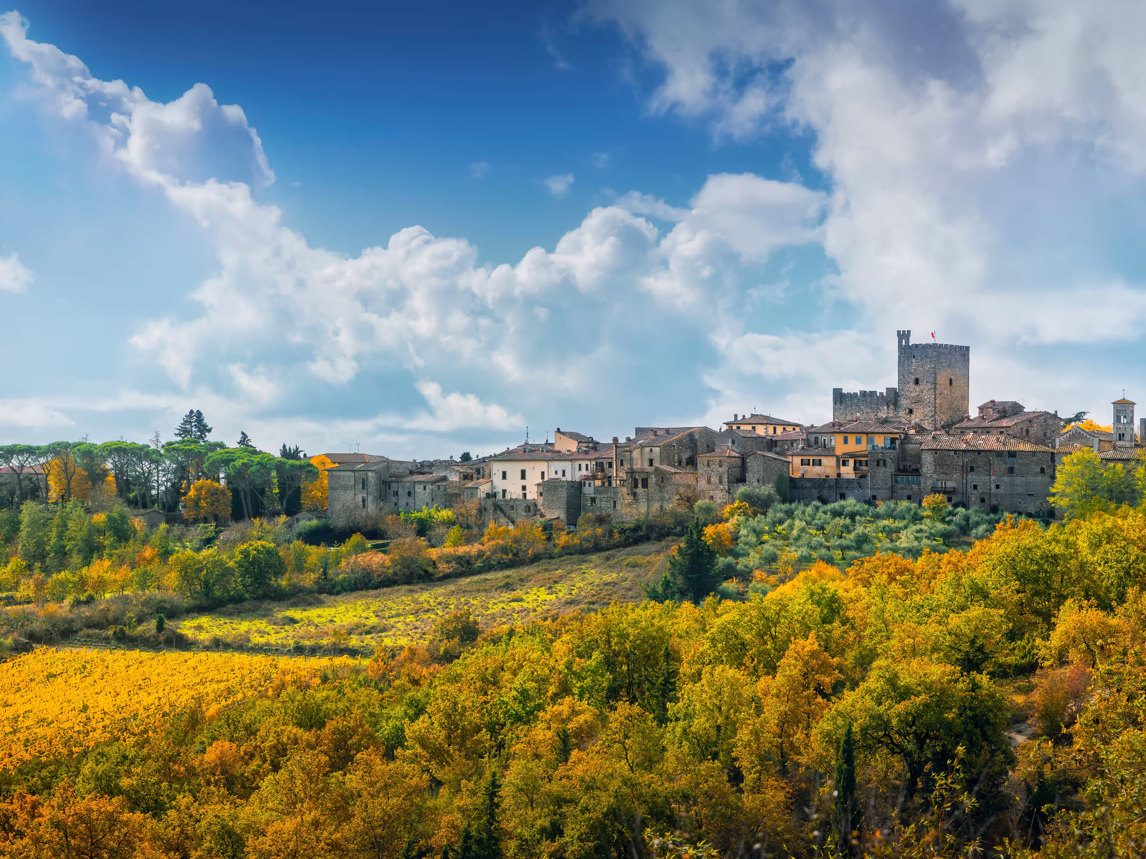 Castellina Chianti
