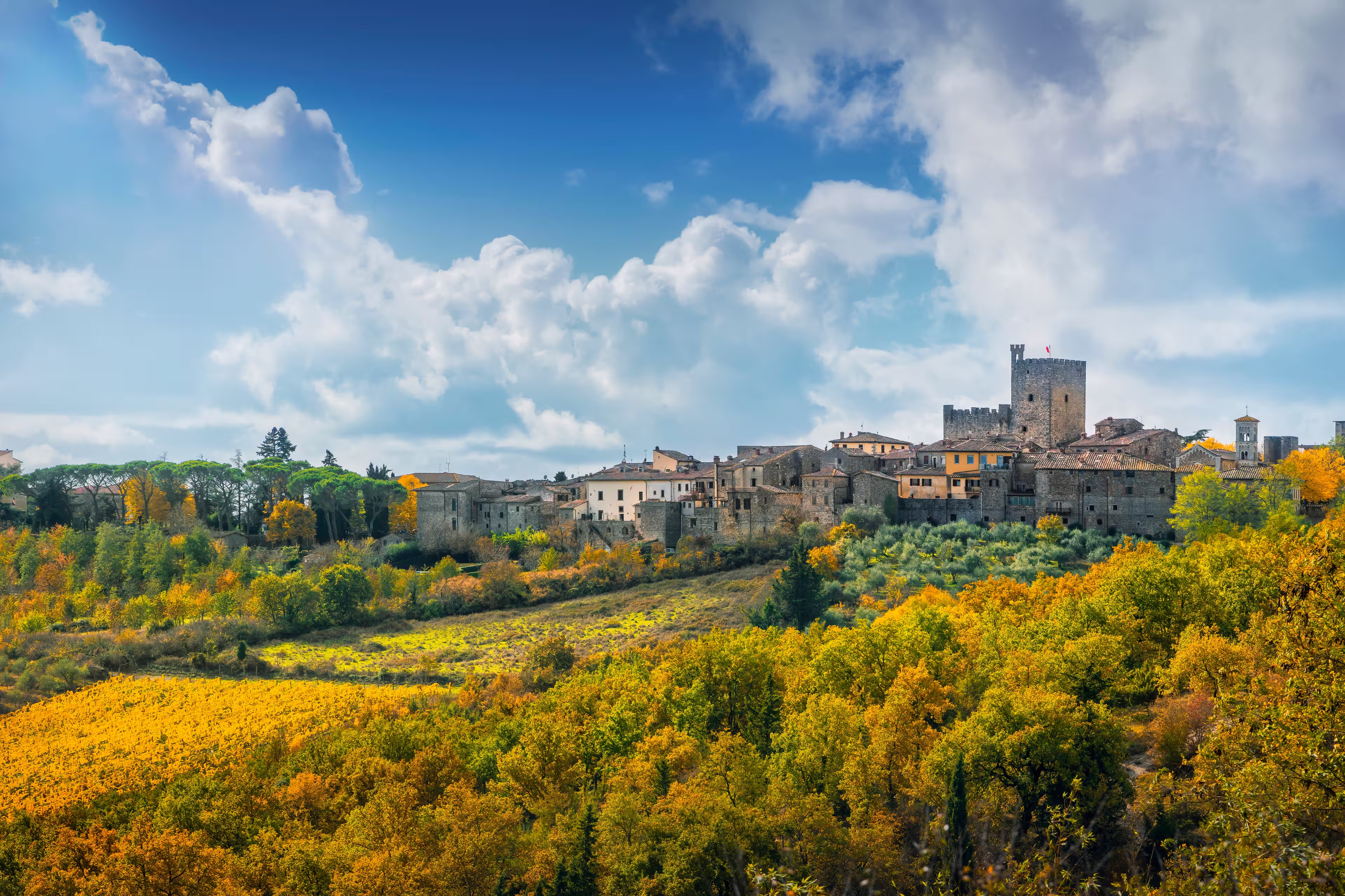 Castellina Chianti