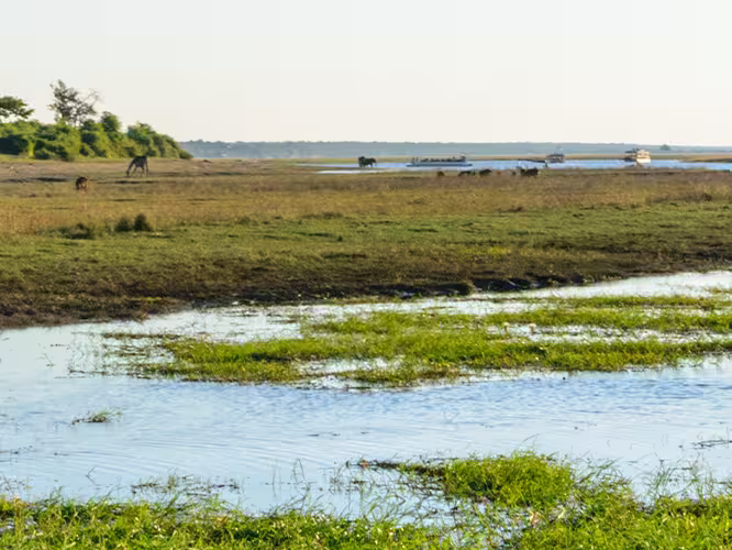 UBPKC - Travellers on river cruise spotting animals in Chobe NP, Botswana