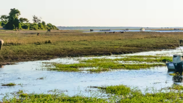 UBPKC - Travellers on river cruise spotting animals in Chobe NP, Botswana