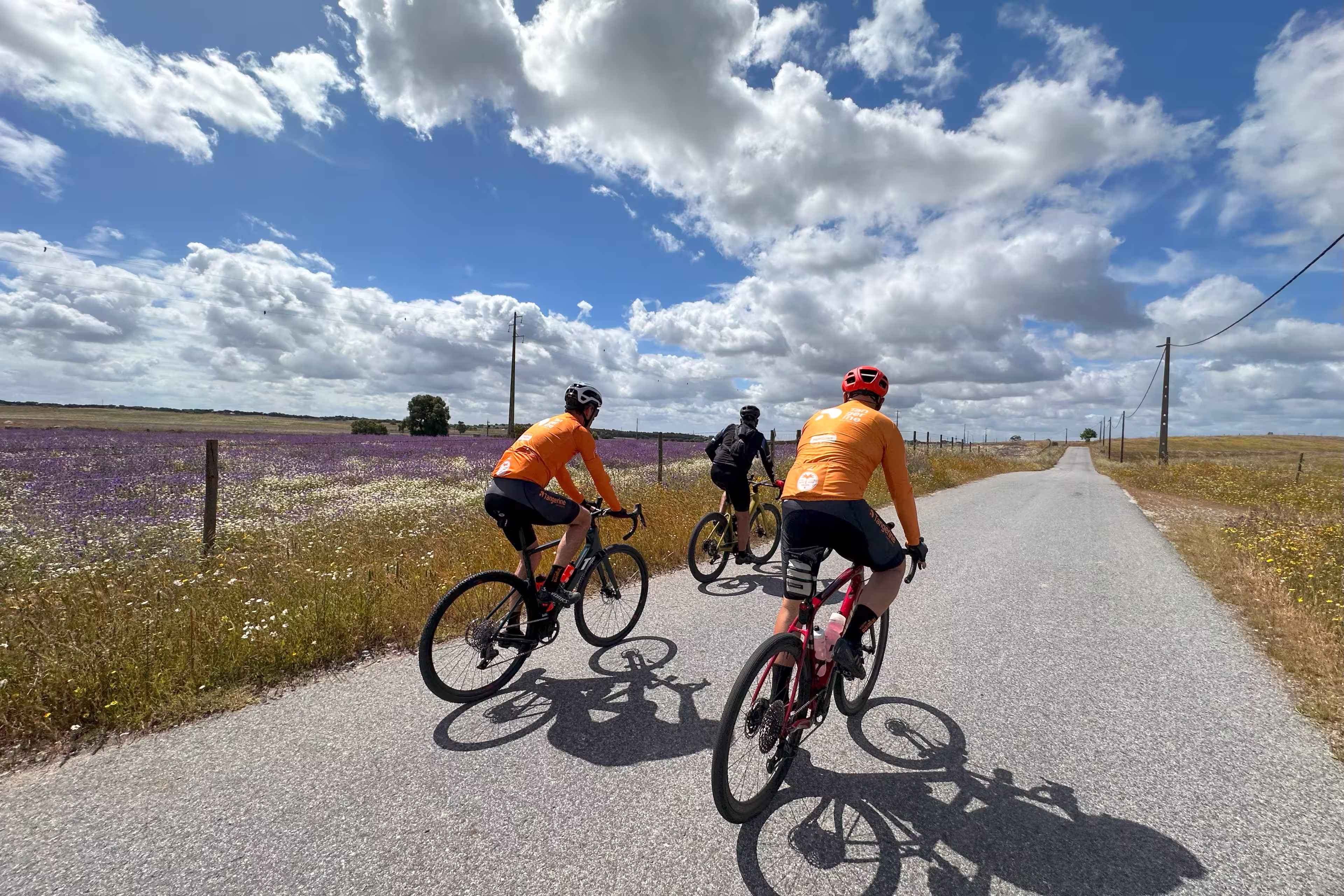 Portugal - Alentejo Gravel-Bike & Wein