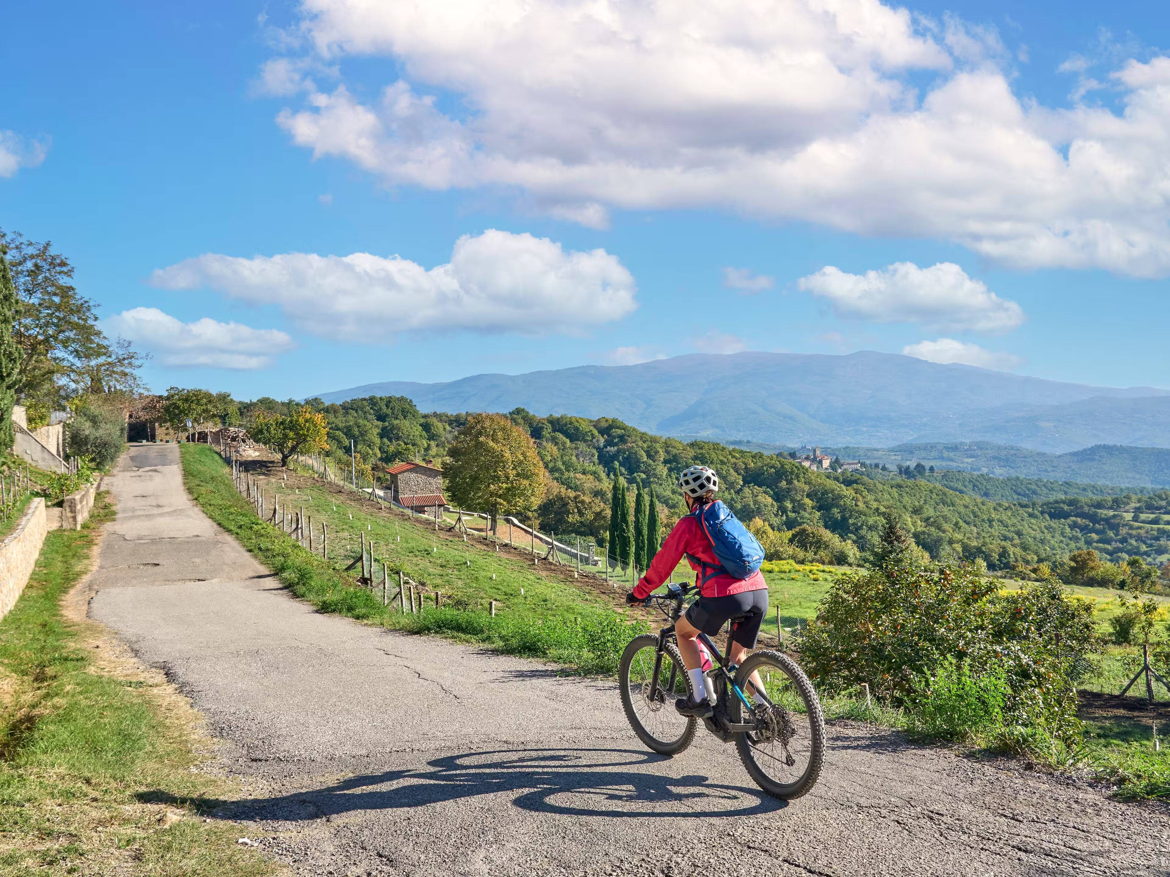 nice senior woman riding her electric mountain bike between olive trees near Arezzo,Tuscany , Italy