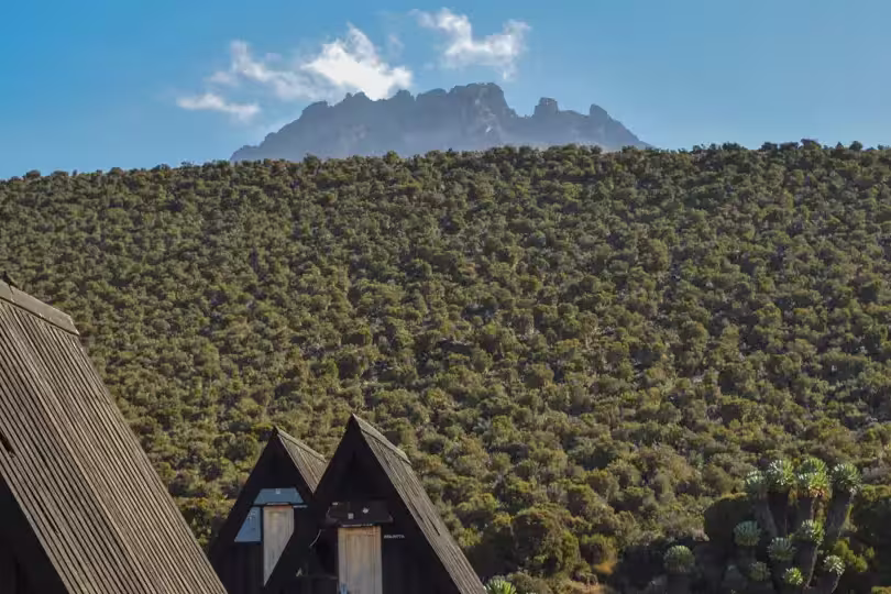Kilimanjaro – Marangu-Route (Wunschtermin)