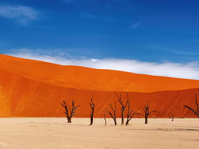 UBPN - Red sand desert Sossusvlei, Namibia
