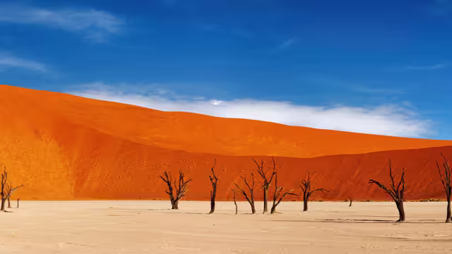 UBPN - Red sand desert Sossusvlei, Namibia