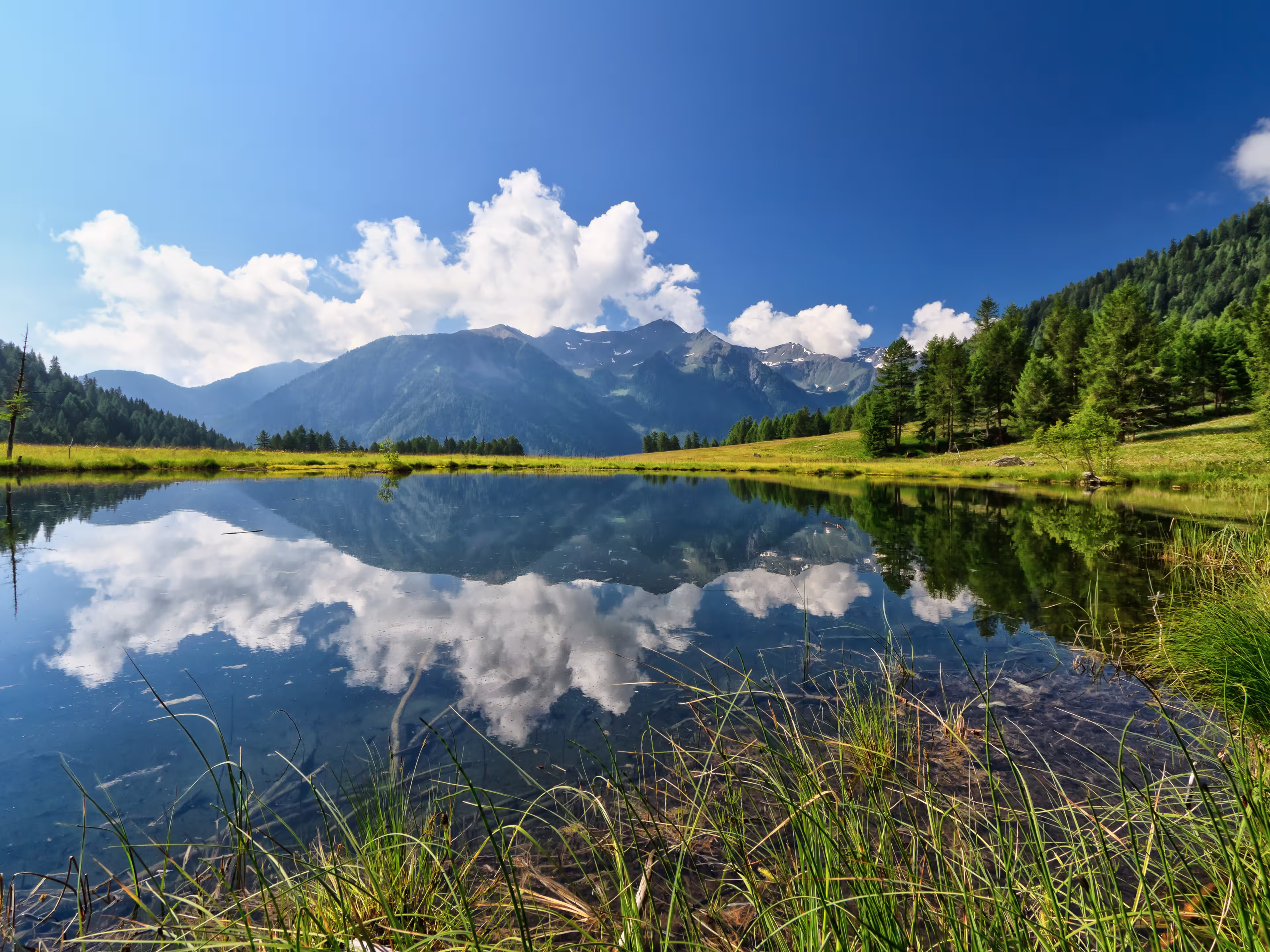 summer view of Covel lake in Pejo Valley, Trentino, Italy