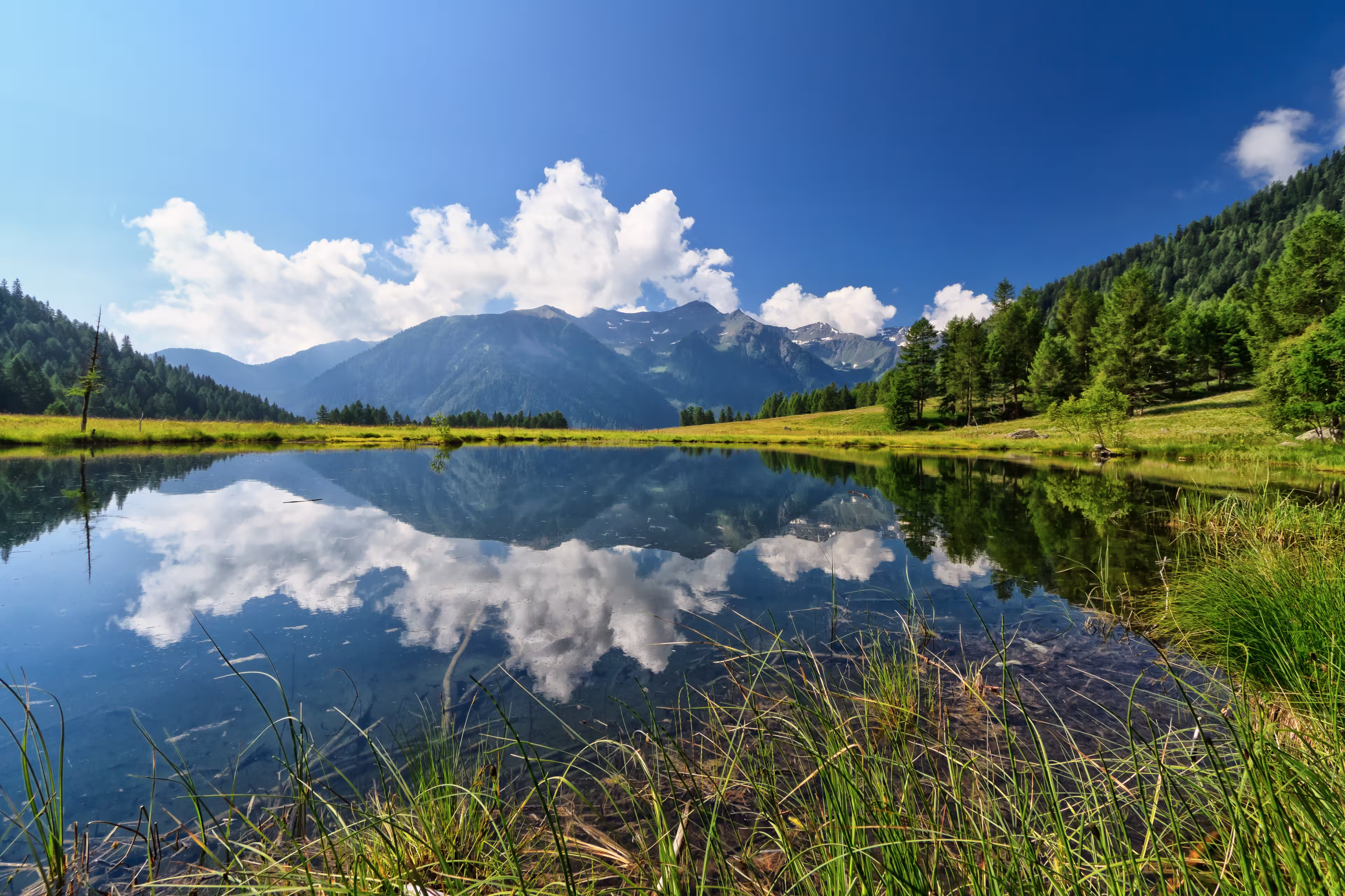 summer view of Covel lake in Pejo Valley, Trentino, Italy