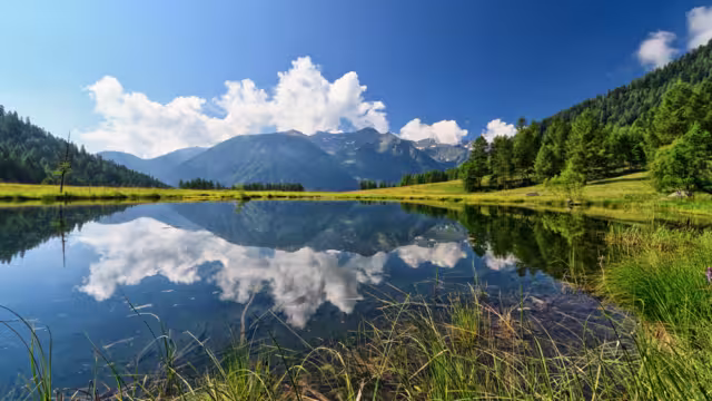 summer view of Covel lake in Pejo Valley, Trentino, Italy
