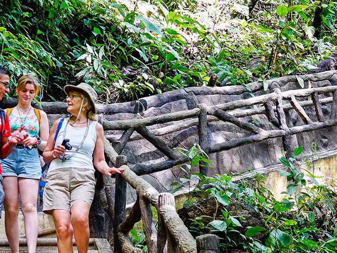 Enjoy a guided tour through La Fortuna's lush rainforest with our Leaders.