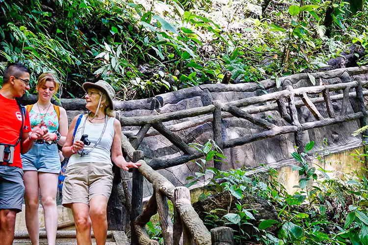Enjoy a guided tour through La Fortuna's lush rainforest with our Leaders.