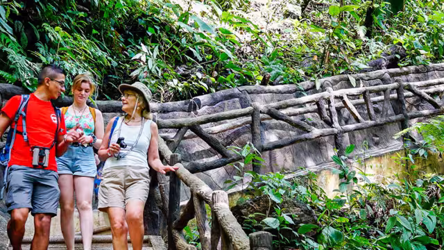 Enjoy a guided tour through La Fortuna's lush rainforest with our Leaders.