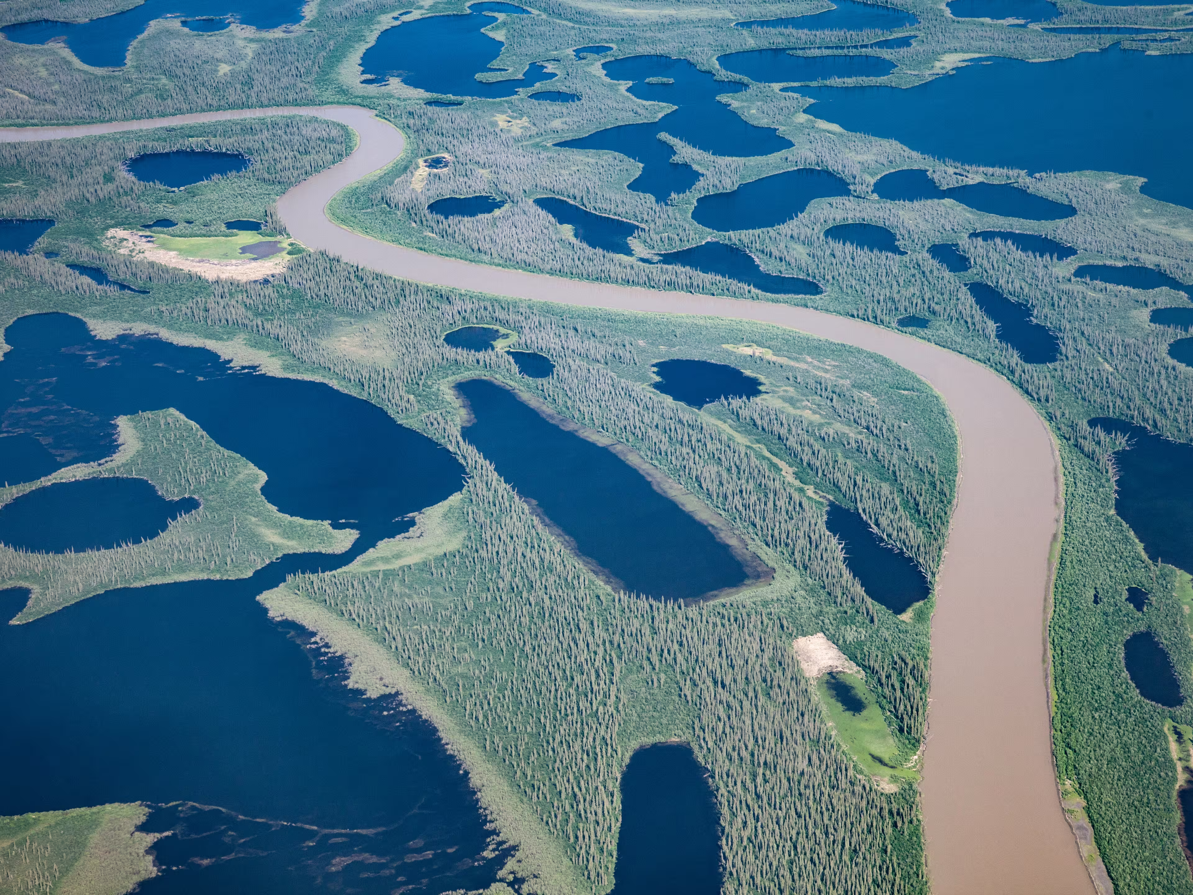 McKenzie River Delta North of Inuvik