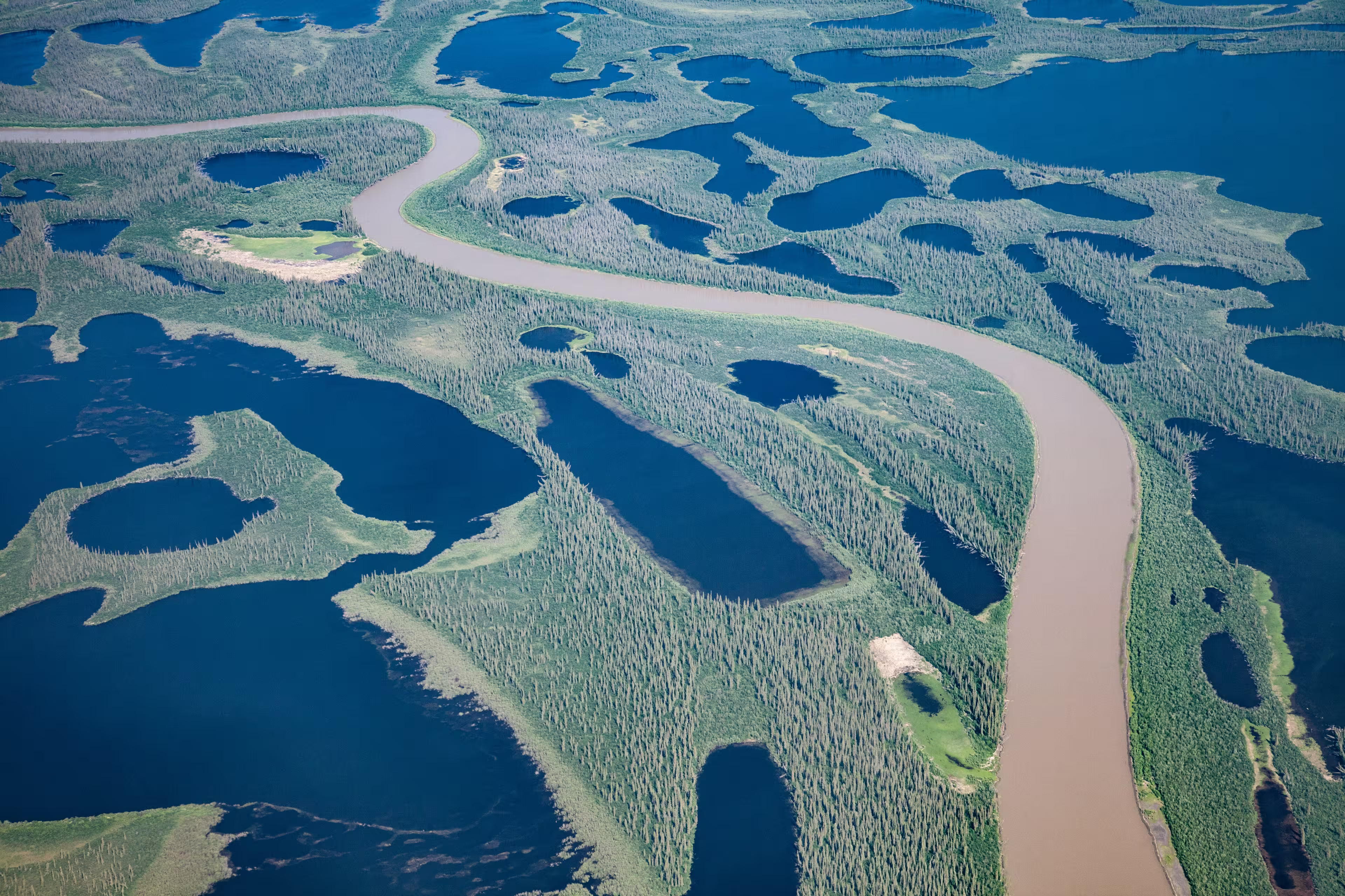 McKenzie River Delta North of Inuvik