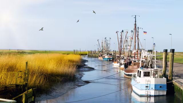 Kutterhafen an der Nordsee bei Cuxhaven