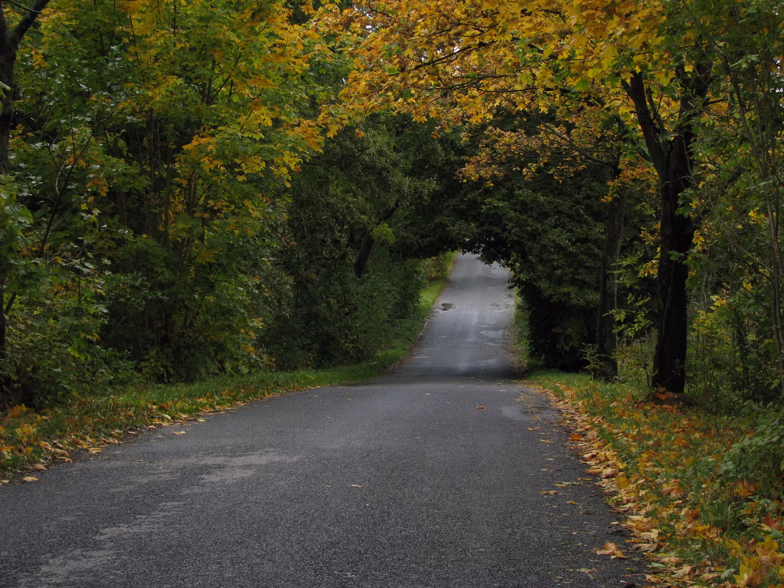 Radtour durch 4 Länder Weg