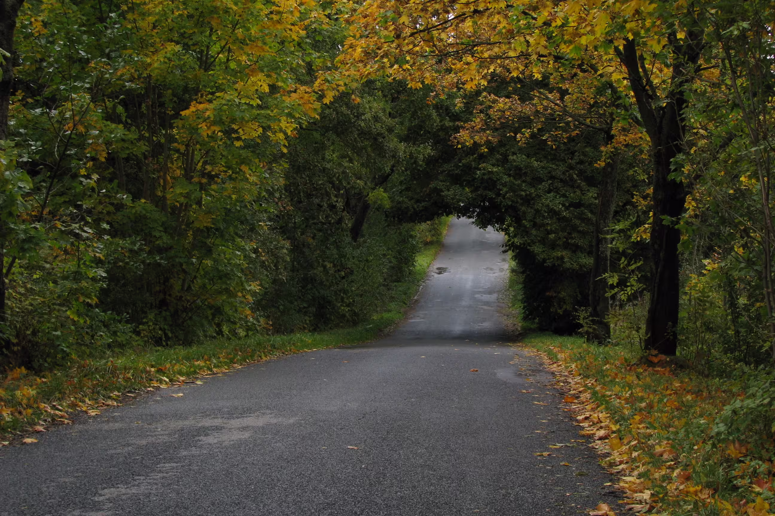 Radtour durch 4 Länder Weg