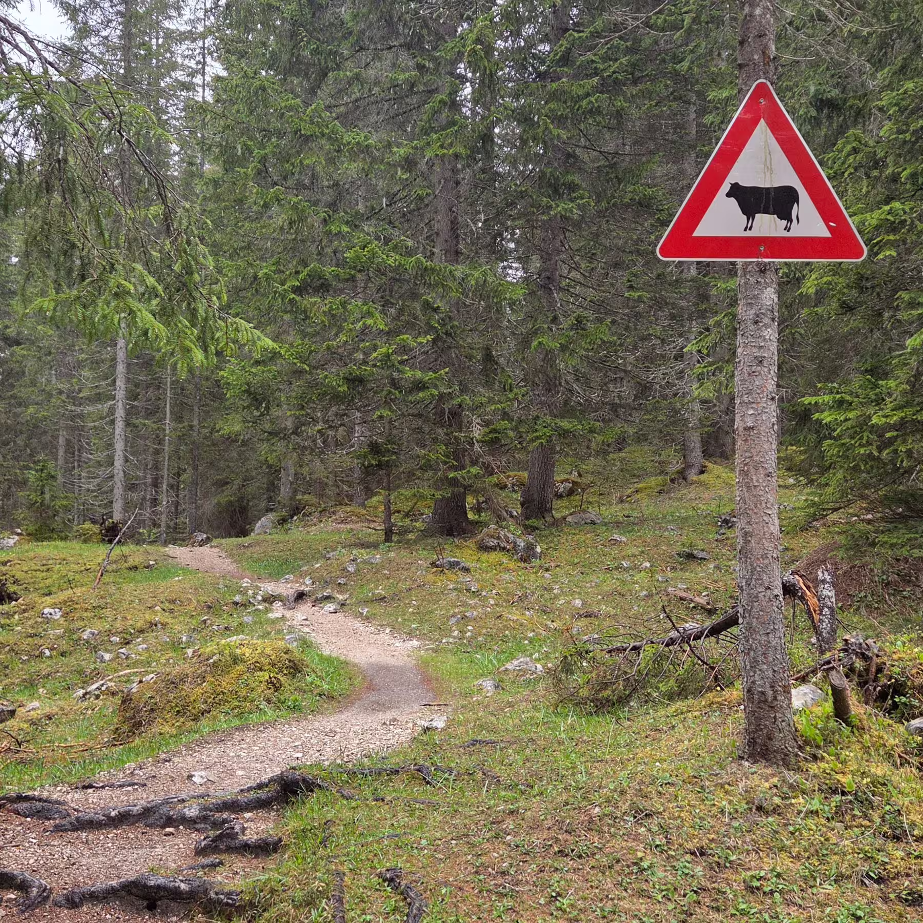 Reiseimpression von Eduard