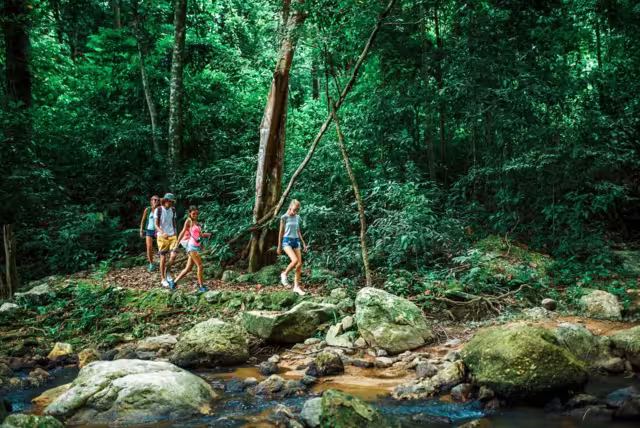 In the rainforests of Phong Nha on the way to Lu Tan Cave