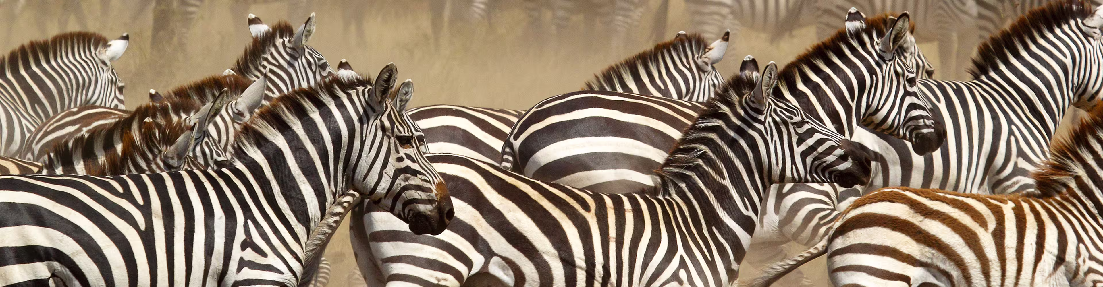 Vic Falls to Kenya - 1