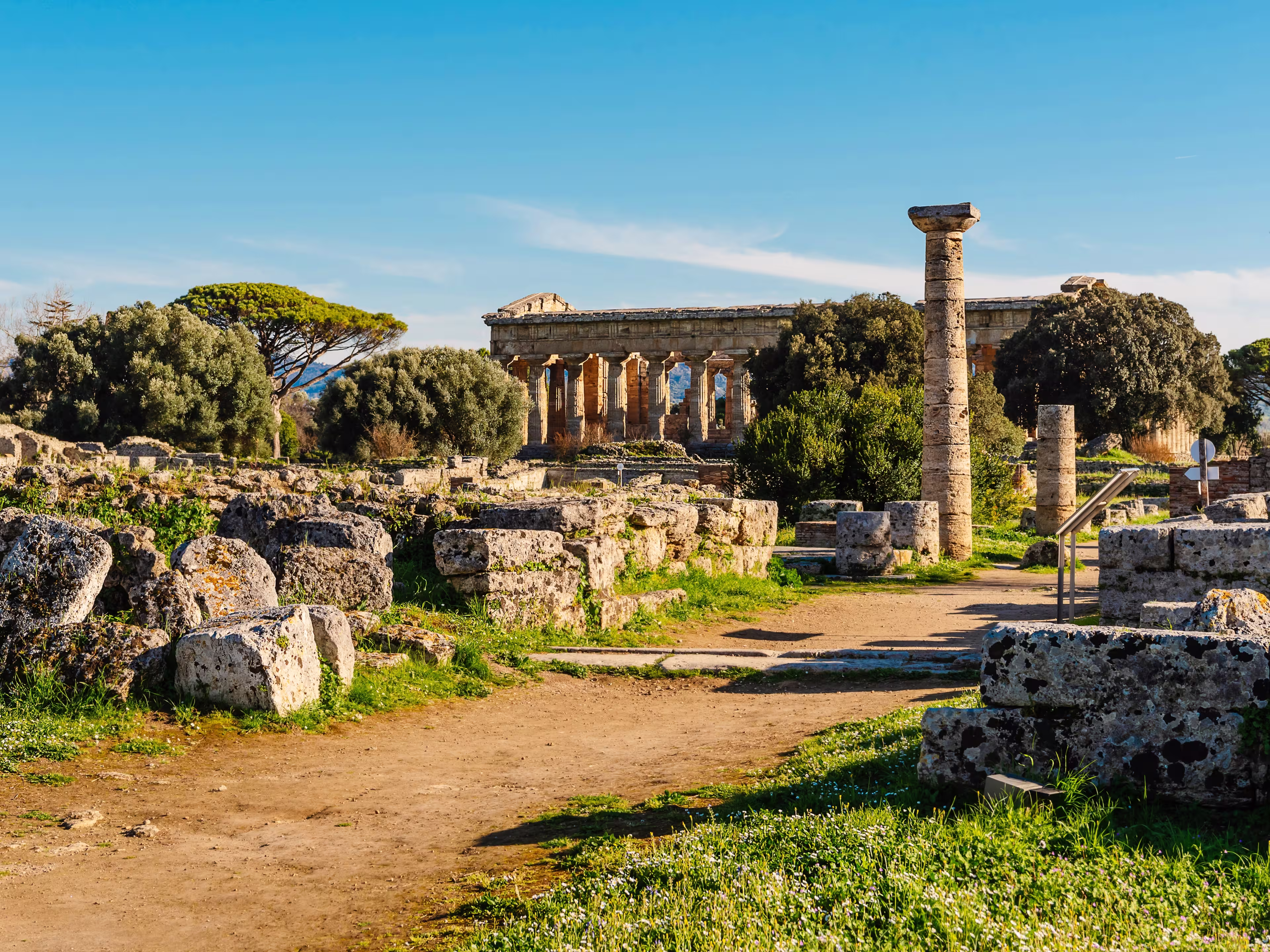 The ruins of the ancient city of Paestum. Ruins of a Greek city. Archaeological Museum of Paestum