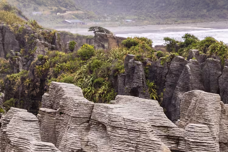 Couple admiring Punakaiki Pancake Rocks from viewpoint, South Island, New Zealand