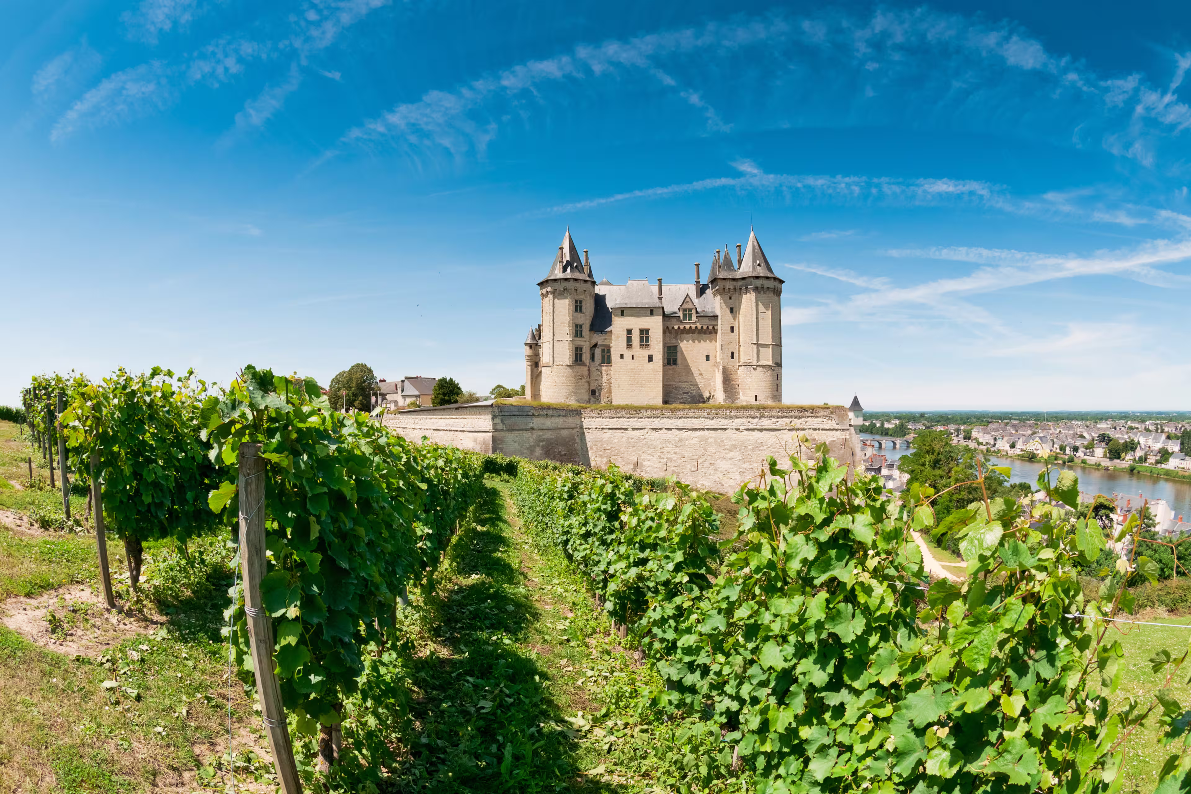 Chateau de Saumur, Loire