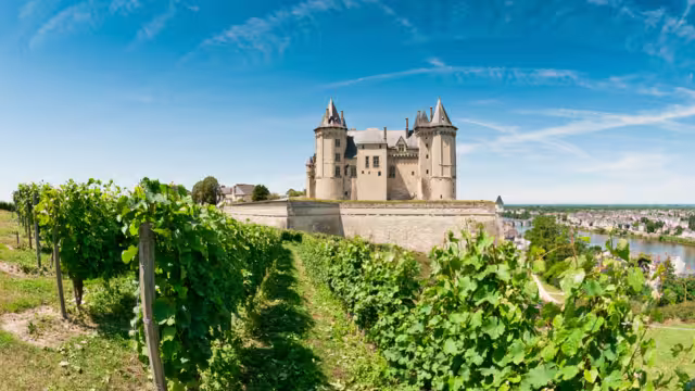Chateau de Saumur, Loire