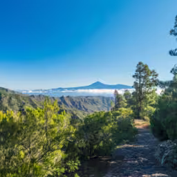 Scenic green landscape in Garajonay National Park with island Tenerife and Volcano Pico de Teide.Hiking trail from the Mirador de Roque Agando to La Laja on La Gomera, Canary Islands, Spain, Europe.