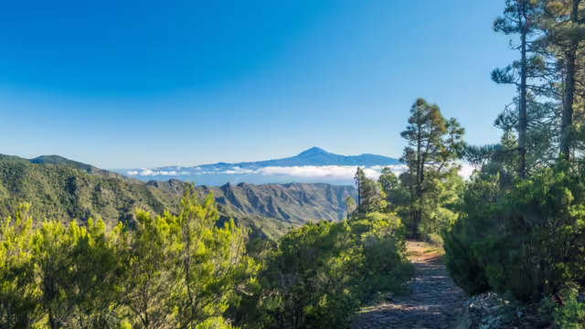 Scenic green landscape in Garajonay National Park with island Tenerife and Volcano Pico de Teide.Hiking trail from the Mirador de Roque Agando to La Laja on La Gomera, Canary Islands, Spain, Europe.