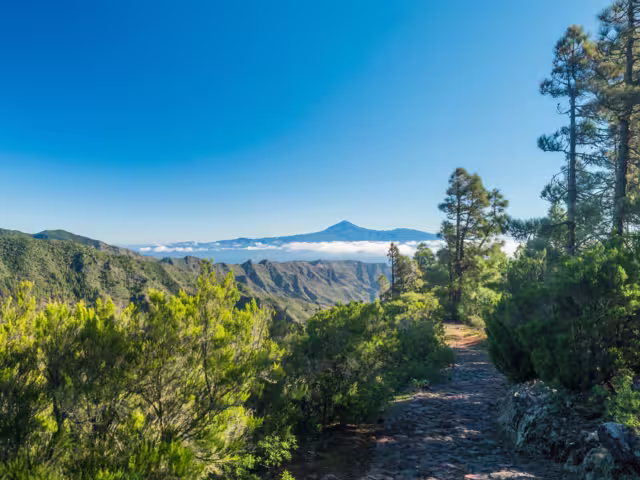 Scenic green landscape in Garajonay National Park with island Tenerife and Volcano Pico de Teide.Hiking trail from the Mirador de Roque Agando to La Laja on La Gomera, Canary Islands, Spain, Europe.