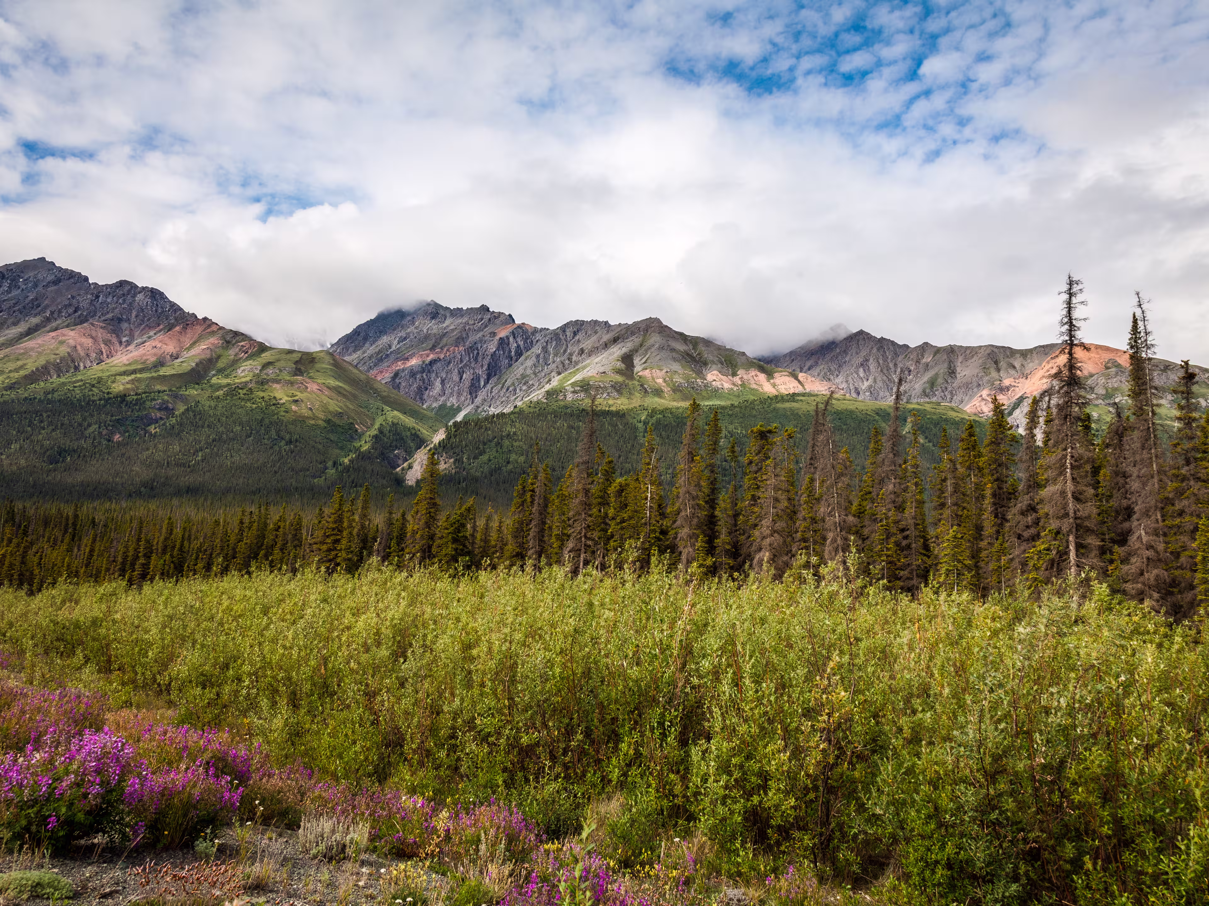 North of Haines Junction heading towards Kluane Lake- Yukon Territory- Canada This section of the Alaska Highway is spectacular: mountains to the west, Kluane Lake to the east.